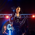 flamenco (108)